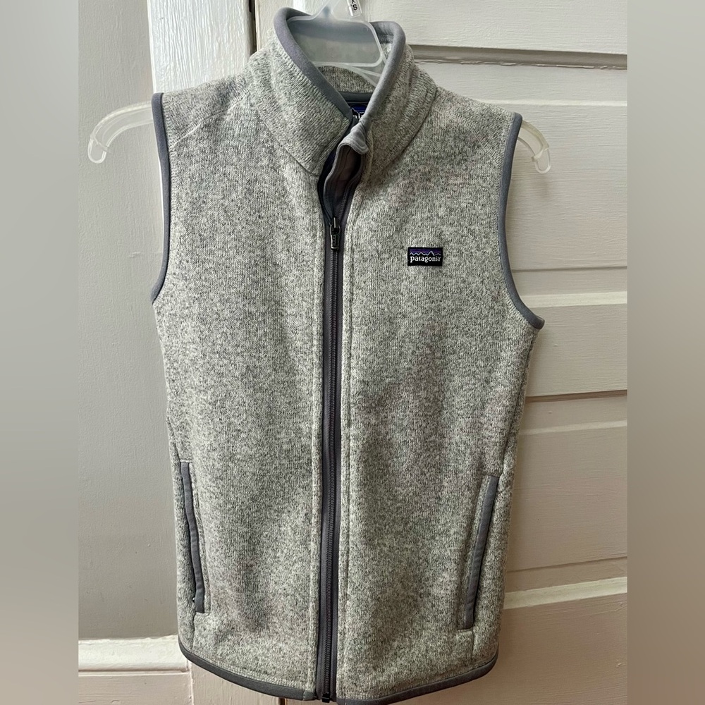 Patagonia Gray Fleece Vest